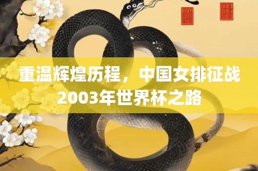重温辉煌历程，中国女排征战2003年世界杯之路