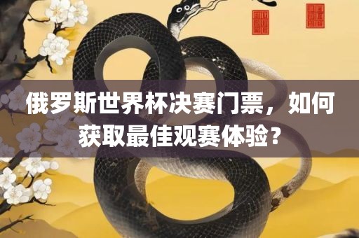俄罗斯世界杯决赛门票，如何获取最佳观赛体验？