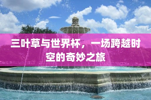 三叶草与世界杯，一场跨越时空的奇妙之旅
