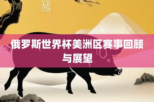 俄罗斯世界杯美洲区赛事回顾与展望