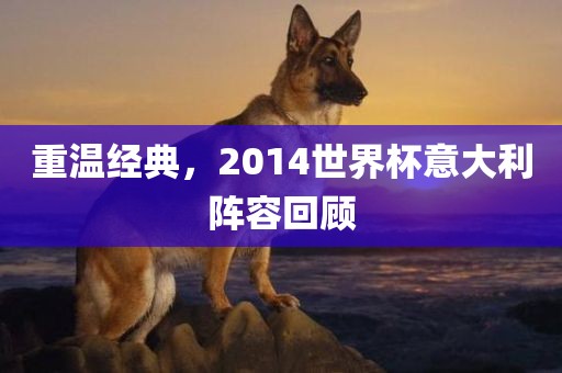 重温经典，2014世界杯意大利阵容回顾