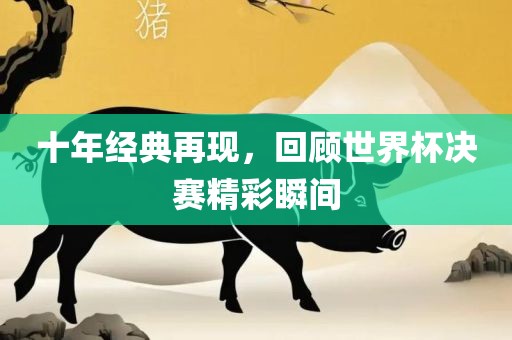 十年经典再现，回顾世界杯决赛精彩瞬间