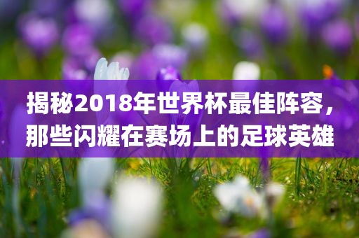 揭秘2018年世界杯最佳阵容，那些闪耀在赛场上的足球英雄