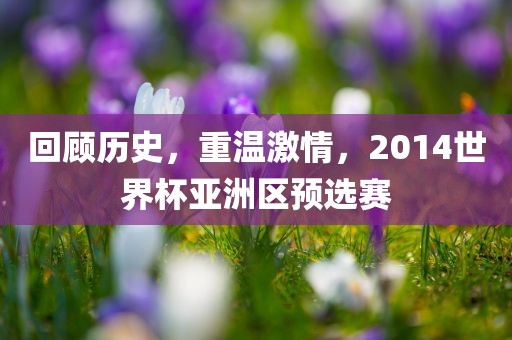 回顾历史，重温激情，2014世界杯亚洲区预选赛