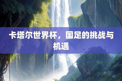 卡塔尔世界杯，国足的挑战与机遇