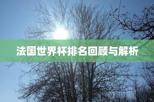 法国世界杯排名回顾与解析