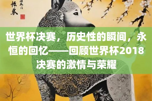 世界杯决赛，历史性的瞬间，永恒的回忆——回顾世界杯2018决赛的激情与荣耀