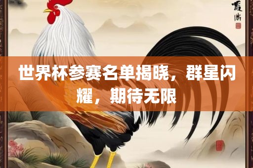世界杯参赛名单揭晓，群星闪耀，期待无限