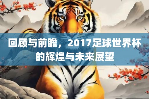 回顾与前瞻，2017足球世界杯的辉煌与未来展望