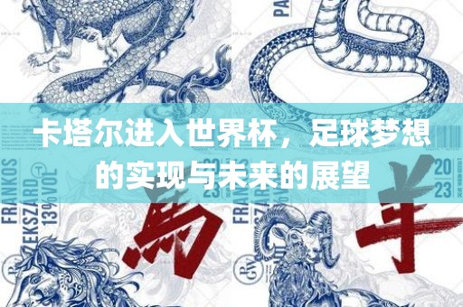 卡塔尔进入世界杯，足球梦想的实现与未来的展望