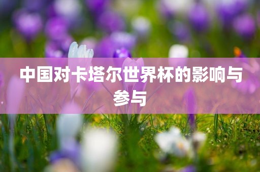 中国对卡塔尔世界杯的影响与参与