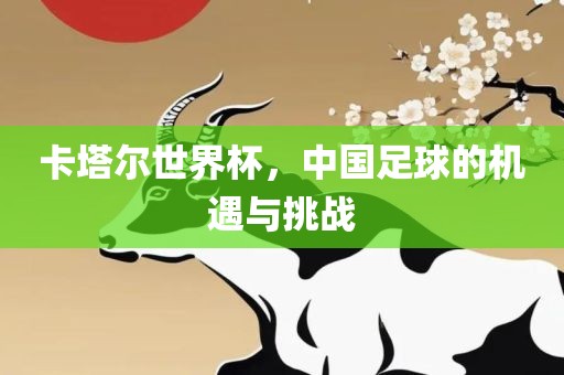 卡塔尔世界杯，中国足球的机遇与挑战