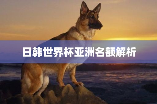日韩世界杯亚洲名额解析