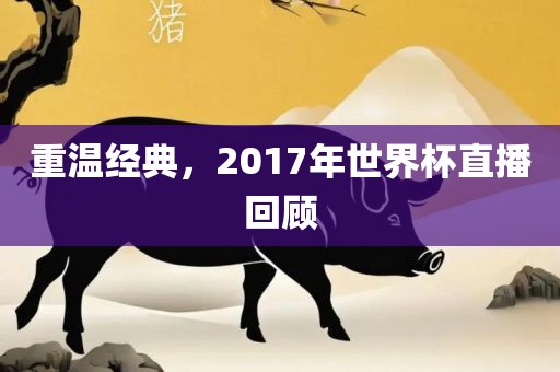 重温经典，2017年世界杯直播回顾