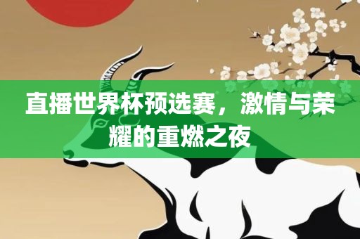 直播世界杯预选赛，激情与荣耀的重燃之夜