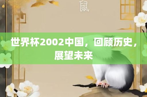 世界杯2002中国，回顾历史，展望未来