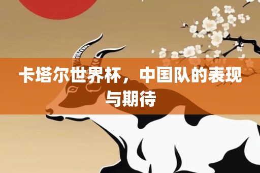 卡塔尔世界杯，中国队的表现与期待