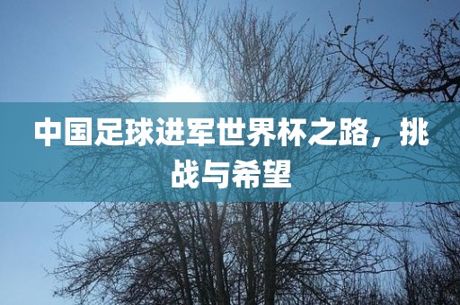 中国足球进军世界杯之路，挑战与希望