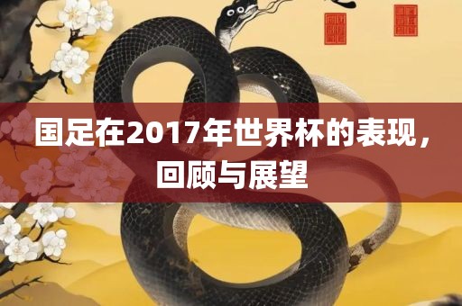国足在2017年世界杯的表现，回顾与展望