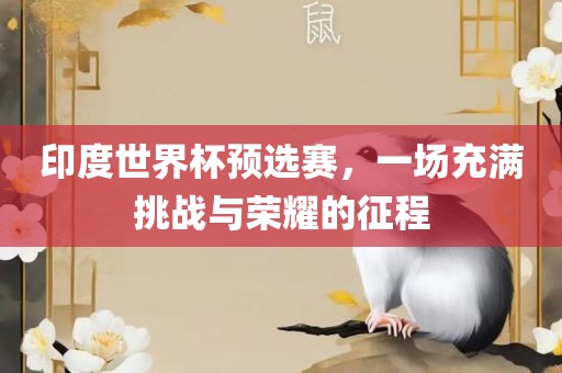 印度世界杯预选赛，一场充满挑战与荣耀的征程