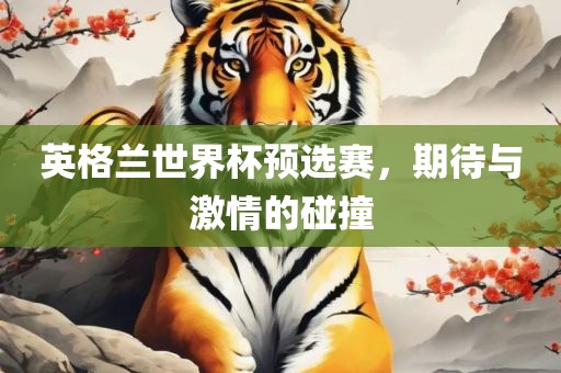英格兰世界杯预选赛，期待与激情的碰撞