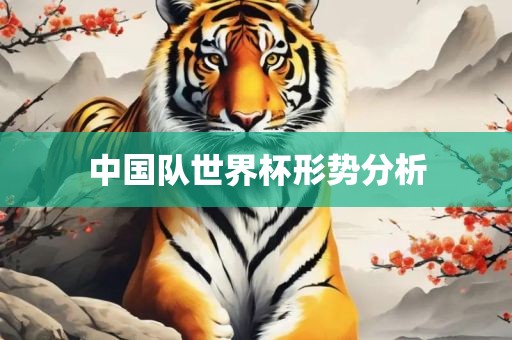 中国队世界杯形势分析