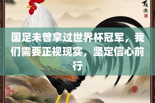 国足未曾拿过世界杯冠军，我们需要正视现实，坚定信心前行
