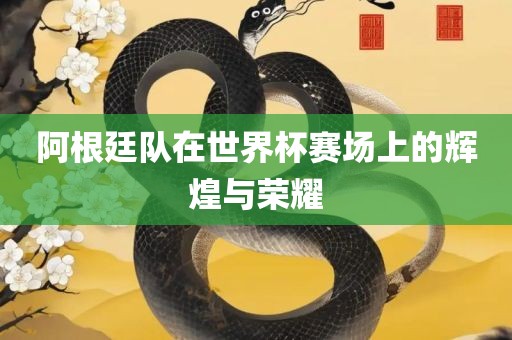 阿根廷队在世界杯赛场上的辉煌与荣耀