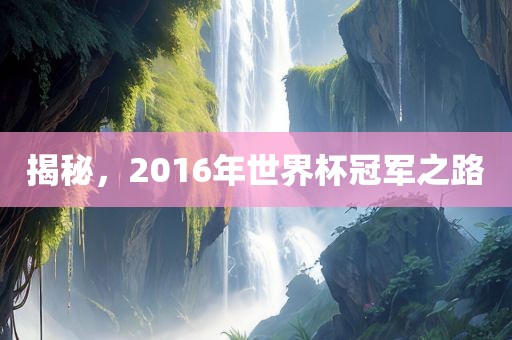 揭秘，2016年世界杯冠军之路