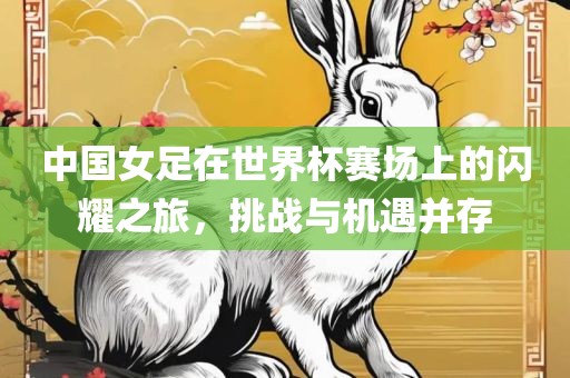 中国女足在世界杯赛场上的闪耀之旅，挑战与机遇并存