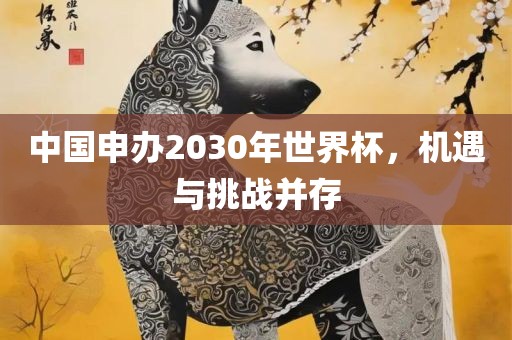 中国申办2030年世界杯，机遇与挑战并存