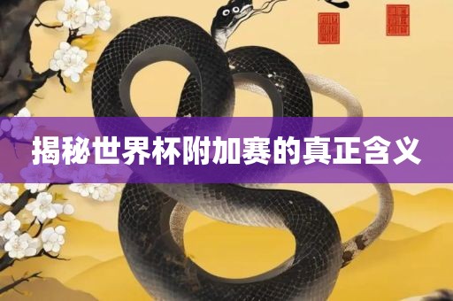 揭秘世界杯附加赛的真正含义