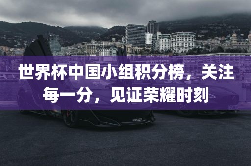 世界杯中国小组积分榜，关注每一分，见证荣耀时刻