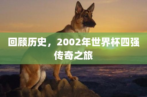 回顾历史，2002年世界杯四强传奇之旅