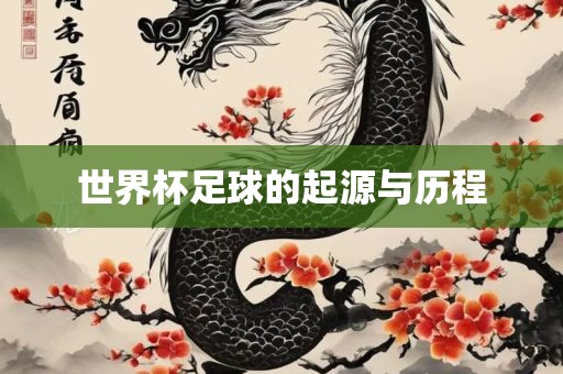 世界杯足球的起源与历程