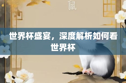 世界杯盛宴，深度解析如何看世界杯