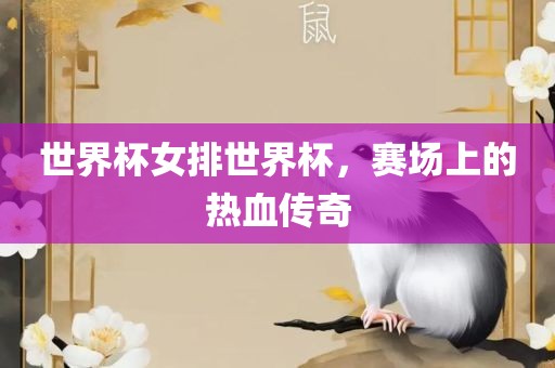 世界杯女排世界杯，赛场上的热血传奇