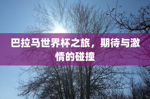 巴拉马世界杯之旅，期待与激情的碰撞