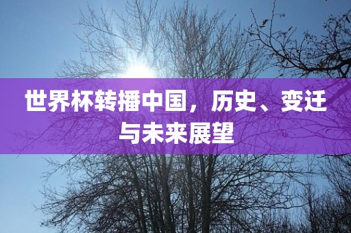 世界杯转播中国，历史、变迁与未来展望