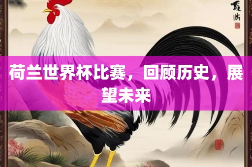 荷兰世界杯比赛，回顾历史，展望未来