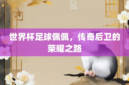 世界杯足球佩佩，传奇后卫的荣耀之路