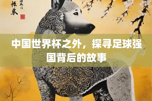 中国世界杯之外，探寻足球强国背后的故事