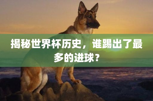 揭秘世界杯历史，谁踢出了最多的进球？