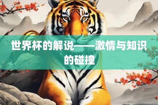 世界杯的解说——激情与知识的碰撞
