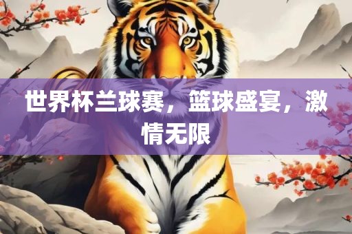 世界杯兰球赛，篮球盛宴，激情无限