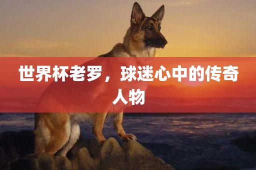 世界杯老罗，球迷心中的传奇人物