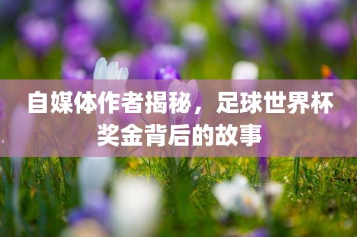 自媒体作者揭秘，足球世界杯奖金背后的故事