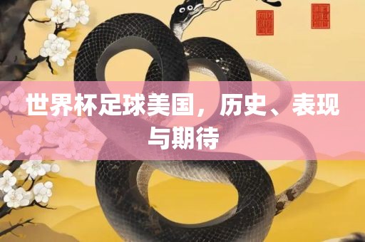 世界杯足球美国，历史、表现与期待