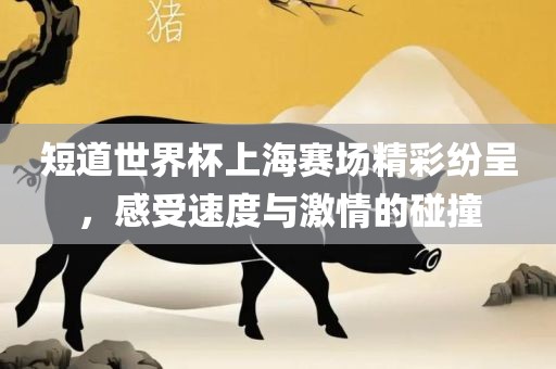 短道世界杯上海赛场精彩纷呈，感受速度与激情的碰撞