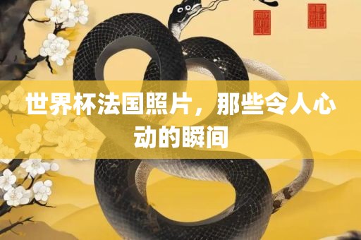 世界杯法国照片，那些令人心动的瞬间